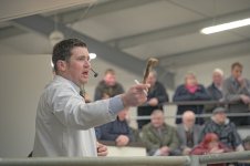 _7819140.jpg _7819140.jpg