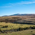 002 Yes Tor 01-1010695 PS Adj.JPG