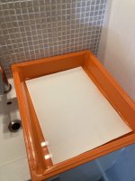 1A202941-E888-47A3-ABBC-2DF58CA491E2.jpeg 1A202941-E888-47A3-ABBC-2DF58CA491E2.jpeg