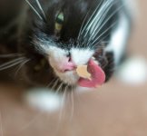 Week 4 - transparent - 1.jpg