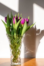 Week 4 - transparent - 3.jpg Week 4 - transparent - 3.jpg