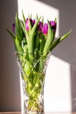 Week 4 - transparent - 4.jpg Week 4 - transparent - 4.jpg