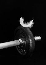 Too Much.JPG Too Much.JPG