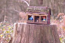 DSCF4361.JPG DSCF4361.JPG