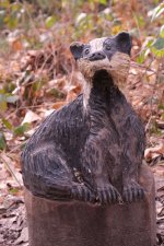 DSCF4363.JPG DSCF4363.JPG