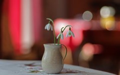 L1029684_DxO-L901-28-c.jpg L1029684_DxO-L901-28-c.jpg