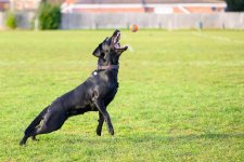 DSC_0942.jpg DSC_0942.jpg