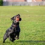 DSC_1079.jpg DSC_1079.jpg