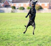 DSC_1158.jpg DSC_1158.jpg