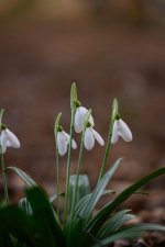 DSC_1647.jpg DSC_1647.jpg