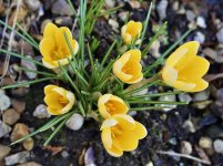 A190336A-CBA9-48F0-B0BF-04BD46419966.jpeg A190336A-CBA9-48F0-B0BF-04BD46419966.jpeg