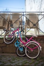 L1023119.LR.jpg L1023119.LR.jpg