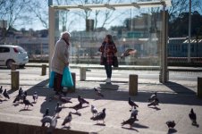 L1023121.LR.jpg L1023121.LR.jpg