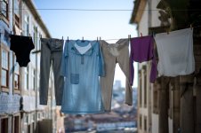 L1023177.LR.jpg L1023177.LR.jpg