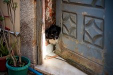 L1023169.LR.jpg L1023169.LR.jpg