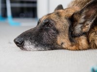 P2070554.jpg P2070554.jpg