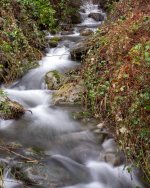 Transparent-5.jpg Transparent-5.jpg