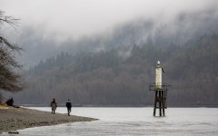 Transparent-10.jpg Transparent-10.jpg