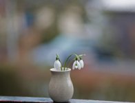 L1029691_DxO-v75-18-c2.jpg L1029691_DxO-v75-18-c2.jpg