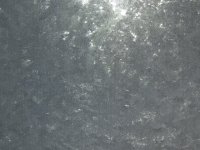 DSCF6467.JPG DSCF6467.JPG