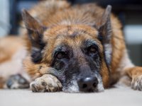 P2080620.jpg P2080620.jpg