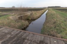 _7822335.jpg _7822335.jpg