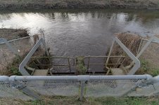 _7822337.jpg _7822337.jpg