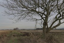 _7822307.jpg _7822307.jpg