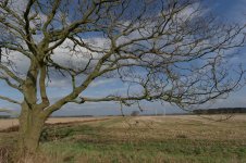 DJL_3949.jpg DJL_3949.jpg