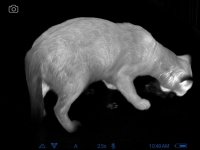 E2135A4F-AABA-449B-AC52-E6549B8C2693.jpeg E2135A4F-AABA-449B-AC52-E6549B8C2693.jpeg