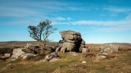 008 Emsworthy Rocks (Tree) 05-9995 PS Adj.JPG