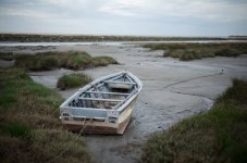 M10R6489.LR.jpg M10R6489.LR.jpg