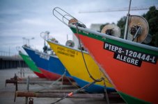 M10R6600.LR.jpg M10R6600.LR.jpg