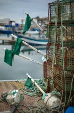 M10R6564.LR.jpg M10R6564.LR.jpg