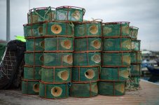 M10R6548.LR.jpg M10R6548.LR.jpg