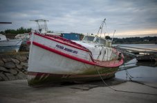 M10R6567.LR.jpg M10R6567.LR.jpg