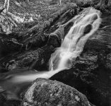 img921 copy 2 spotted-2.jpg