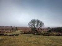 004 Vitifer Mine 02-0374 PS Adj.JPG