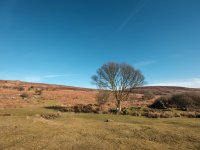 029 Vitifer Mine 07-0402 PS Adj.JPG