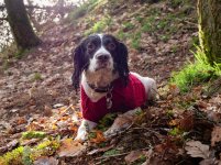 Who's Over There?.jpg