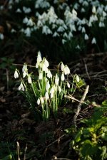 2023_0219_09583800.jpg 2023_0219_09583800.jpg