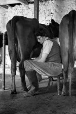 1788_Portraits_006.jpg 1788_Portraits_006.jpg