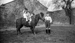 1794_Found_MrsDiggle_009.jpg 1794_Found_MrsDiggle_009.jpg