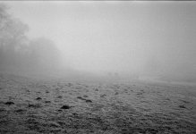 2301CPLXBW33 Misty figures.jpg