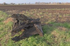 _7810038.jpg _7810038.jpg