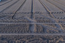 _7810031.jpg _7810031.jpg