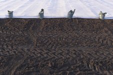 _7810028.jpg _7810028.jpg