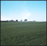 Ektacolor 160_2010-11-24_008a.jpg