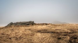 022 Littaford Tors 08-0134 PS Adj.JPG