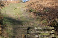 DSC_4035.jpg DSC_4035.jpg